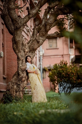 Picture of Afsan Print Saree