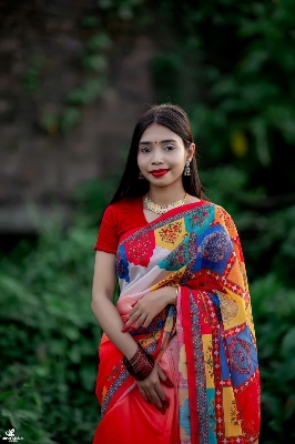 Picture of Chanderi Silk Saree