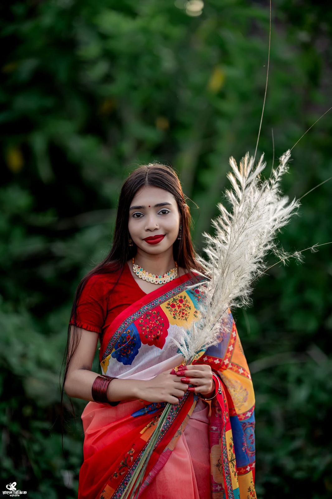 Picture of Chanderi Silk Saree