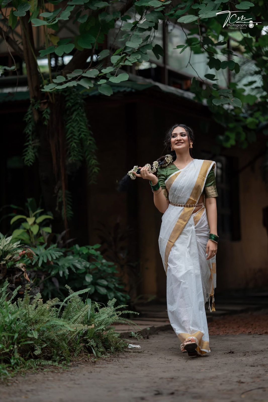 Picture of Cotton Plain Pair Saree