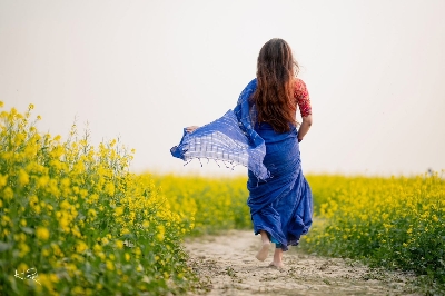 Picture of HalfSilk Jhum Saree