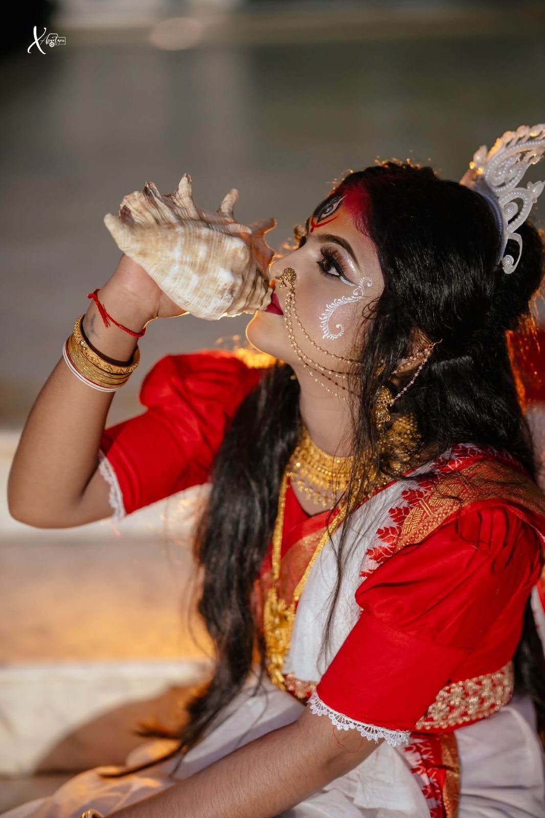 Picture of HalfSilk Madurai Saree