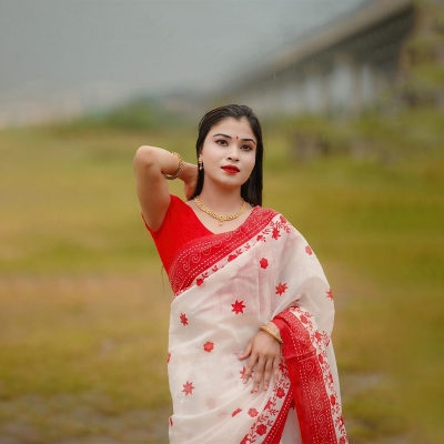 Picture of Afsan Print Saree