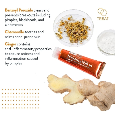 Picture of AcneFree Terminator 10 Acne Spot Treatment with Benzoyl Peroxide 10% Maximum Strength Acne Cream Treatment - 60 ml