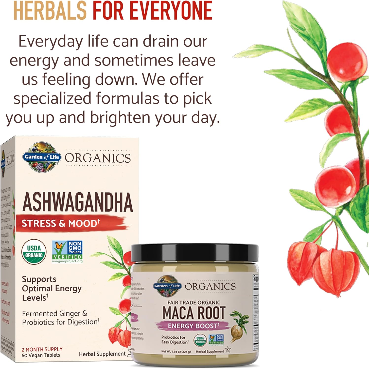 Picture of Garden of Life Maca Powder, Maca Root Energy Booster, Probiotics for easy digestion, Organics Gelatinized Peruvian Maca Root Energy Boost 7.93 oz 225 g (USA)