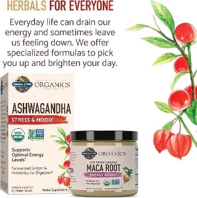 Picture of Garden of Life Maca Powder, Maca Root Energy Booster, Probiotics for easy digestion, Organics Gelatinized Peruvian Maca Root Energy Boost 7.93 oz 225 g (USA)