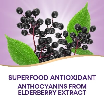 Picture of Nature’s Way Sambucus Elderberry Immune Gummies 60 Gummies