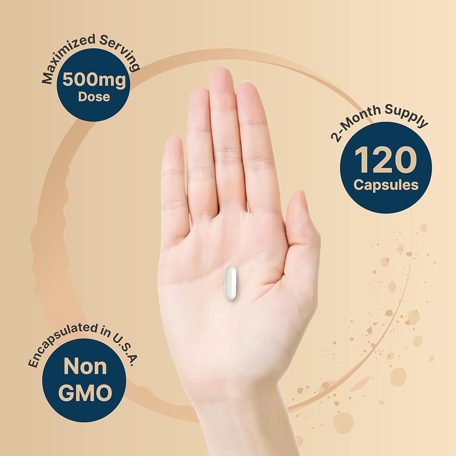 Picture of NatureBell Citicoline Capsule Made with Colineclear 500mg Citicoline Plus 50mg Tyrosine Per Serving 120 Capsules