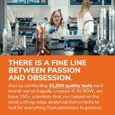 Picture of NOW Calcium & Magnesium 2:1 Ratio High Potency Supports Bone Health 250 Tablets