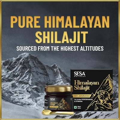 Picture of SESA Himalayan Shilajit Resin 20 g
