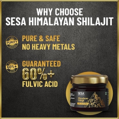 Picture of SESA Himalayan Shilajit Resin 20 g