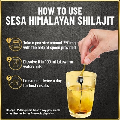 Picture of SESA Himalayan Shilajit Resin 20 g