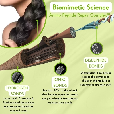 Picture of WishCare Triple Bond Repair Booster Hair Serum for Dry Frizzy Hair - 10% AminoPeptide Complex- For Men & Women 100ml