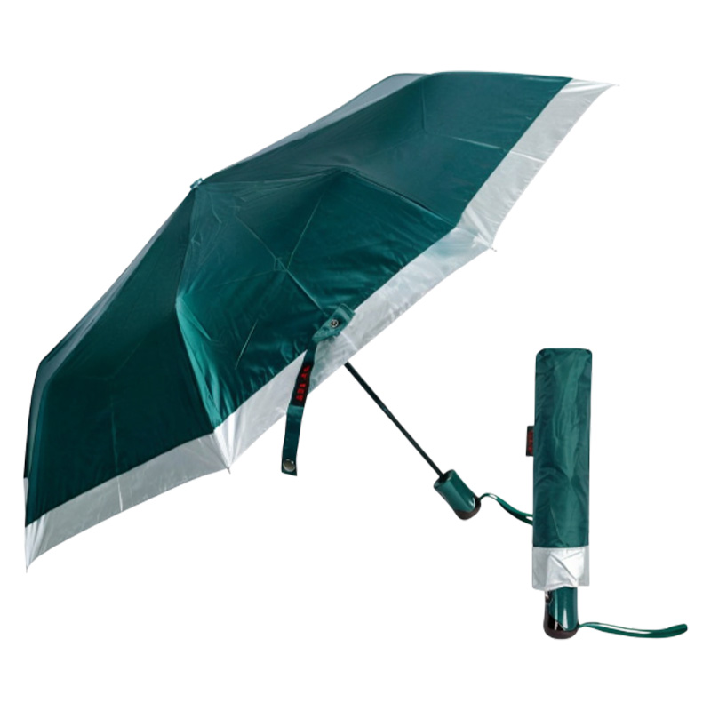 Picture of Sankars world class auto open umbrella (10 sik) Green