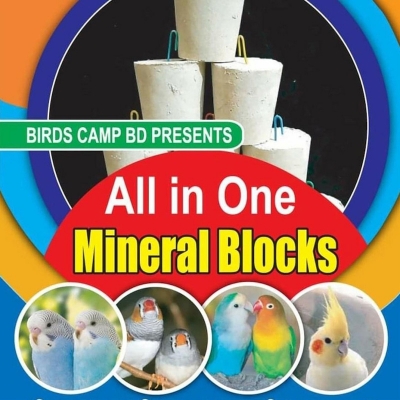 Picture of All in One Minarel Block for birds-2PCs