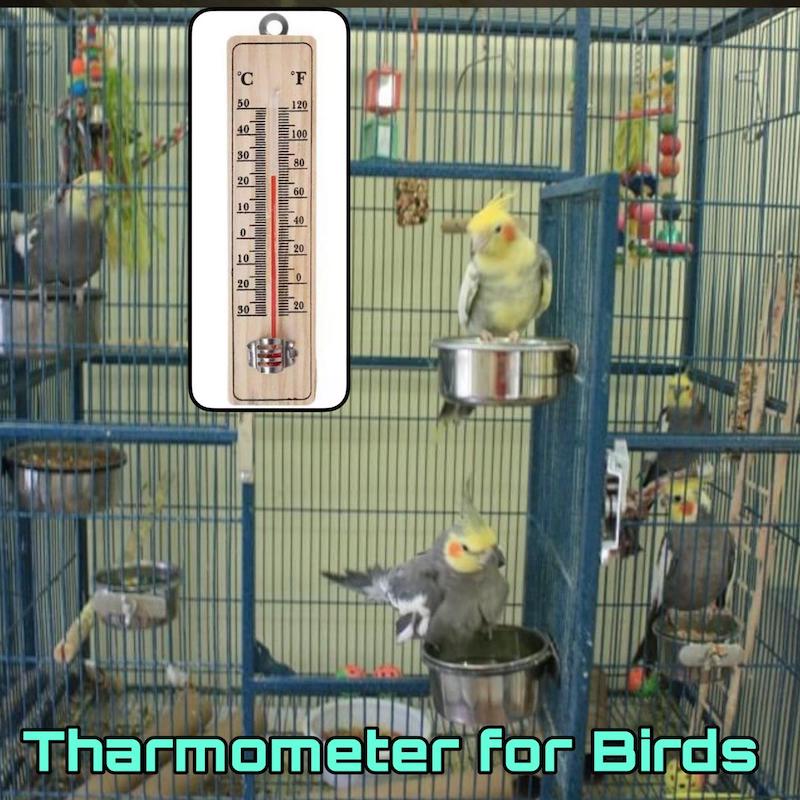 Picture of Room Thermometer, Wood Grain Hanging Vertical Indoor Thermometer, wooden thermometer