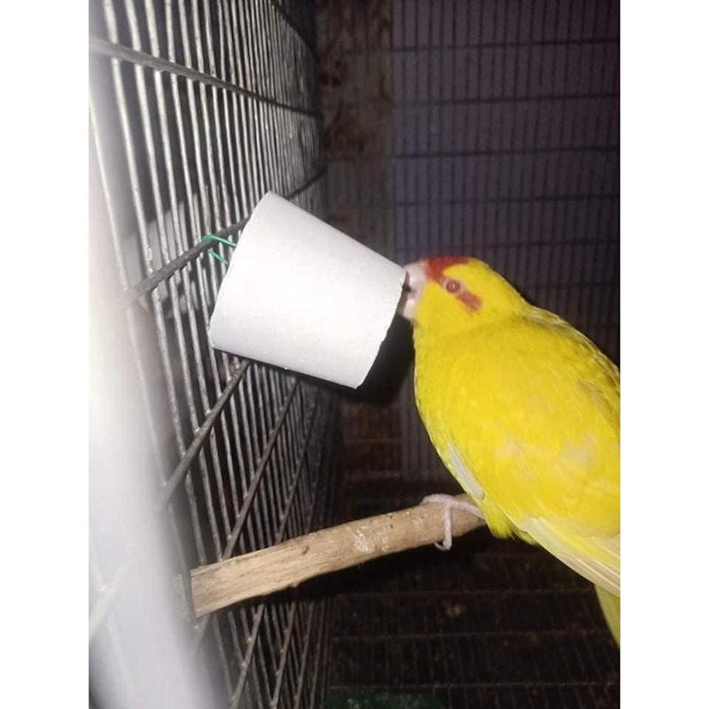 Picture of CALCI BOOST calcium block -2pis