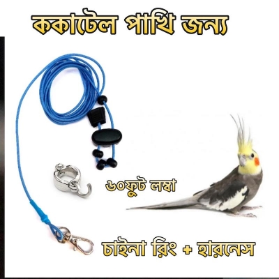 Picture of Cockatiel Bird Leg Ring with 5ft Harness – Secure & Comfortable Pet Accessory in Bangladesh