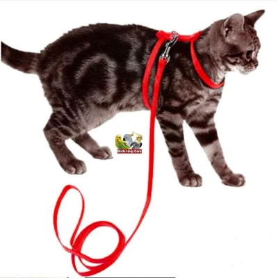 Picture of Cat & mini Dog Free Size Harness 1pcs