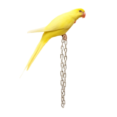 Picture of Birds chain harness