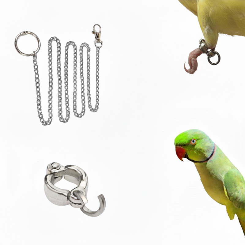 Picture of China Ring & steel harness ringneck parrot combo