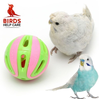Picture of Budgerigar Play Ball & Toy 2pcs