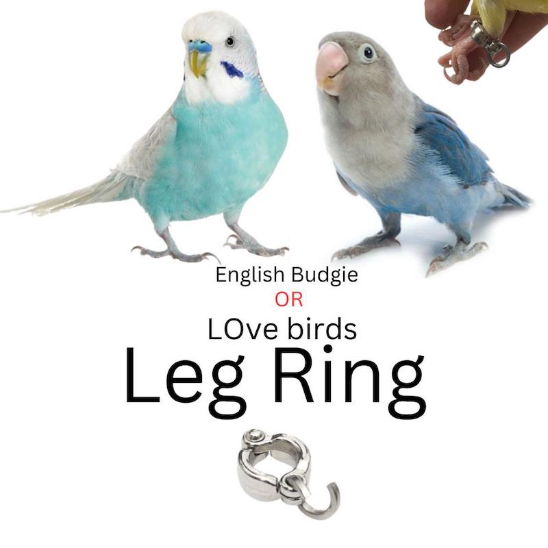 Picture of Leg Ring only for lovebird & English Budgie size