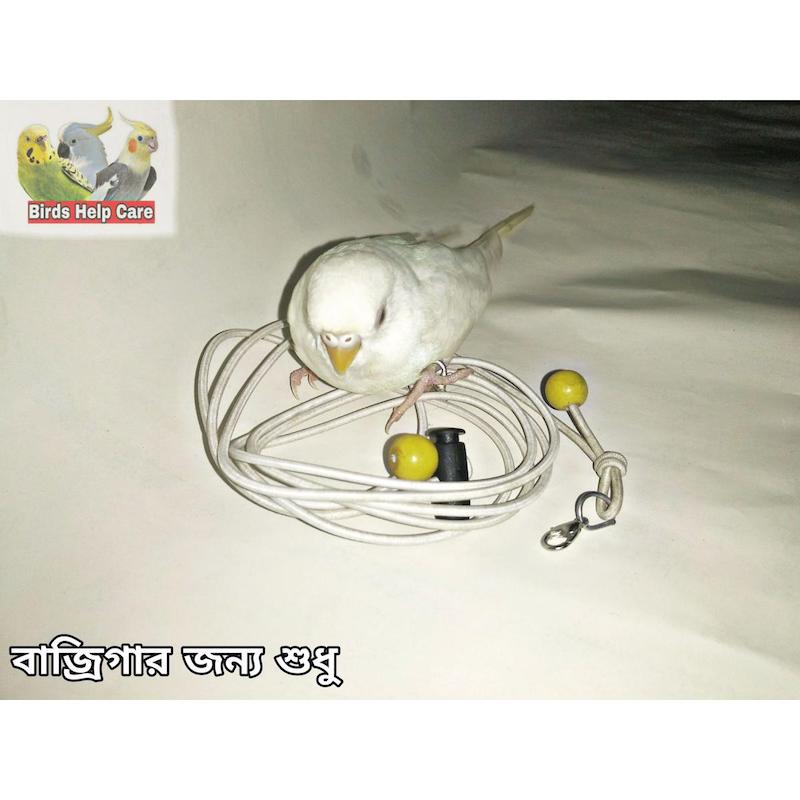 Picture of Budgie Bird Harness – Adjustable & Lightweight 60inc long