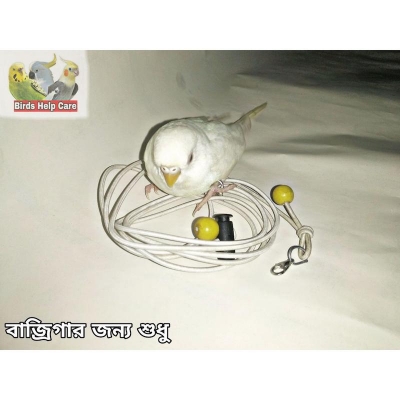 Picture of Budgie Bird Harness – Adjustable & Lightweight 60inc long