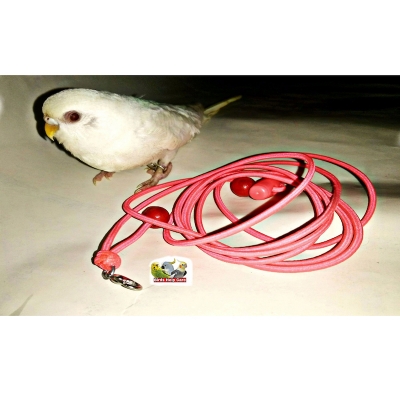 Picture of Leg chain for taming birds with long harness