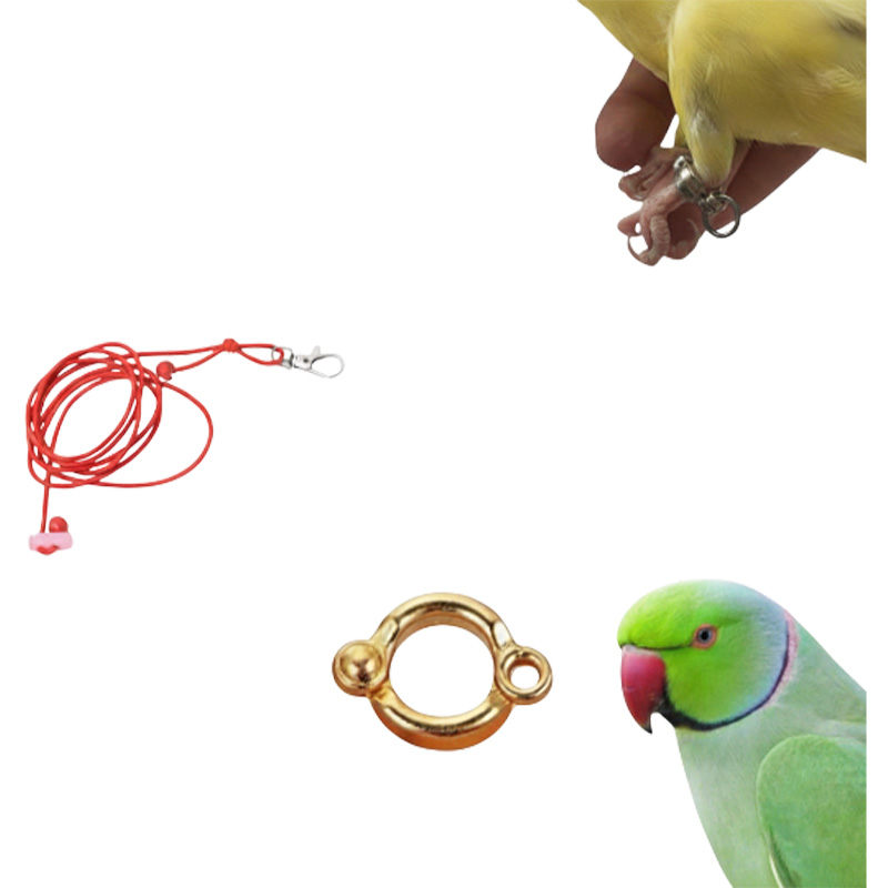 Picture of Harness + Leg Ring Combo Pack For 7MM Size Ringneck