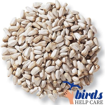 Picture of Kusum fool Sunflower seeds for nutritious and healthy  birds -1kg