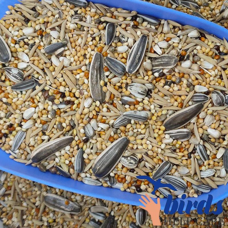 Picture of Premium Seed Mix For Bird-1kg