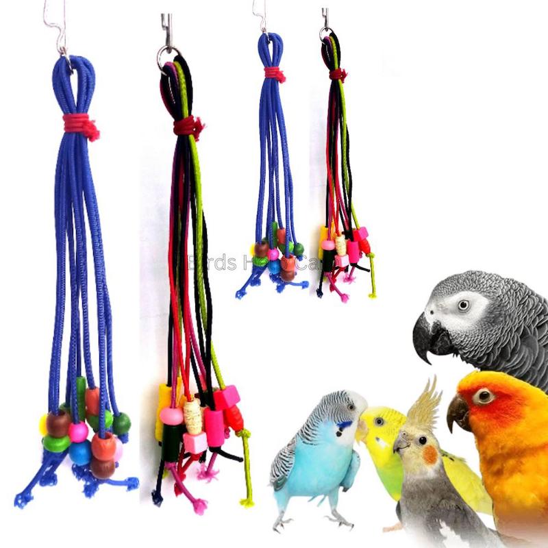 Picture of Birds Help Care