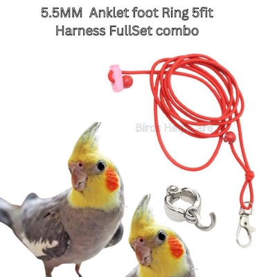 Picture of 5 Fit Long Elastic harness with anklet 5.5 mm for cockatiel bird (full set combo pack)