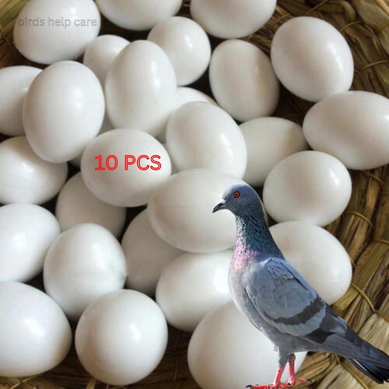 Picture of 10 PCS Fake Eggs Plastic Pigeon Egg Solid Pigeon Fake Egg Pigeon Hatching Supplies 2.5cm x 3.5cm