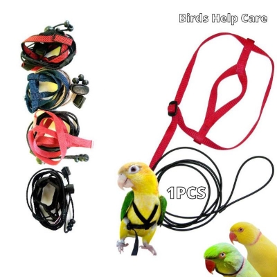 Picture of white Millet Spray For Bird (Veresele Laga)-100g