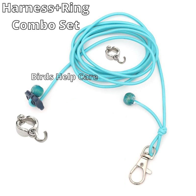 Picture of Ringneck Parrot China Ring & Harness 7mm Ring Combo