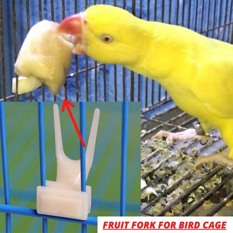 Picture of Fruit Fork for Bird Cage 2PCS
