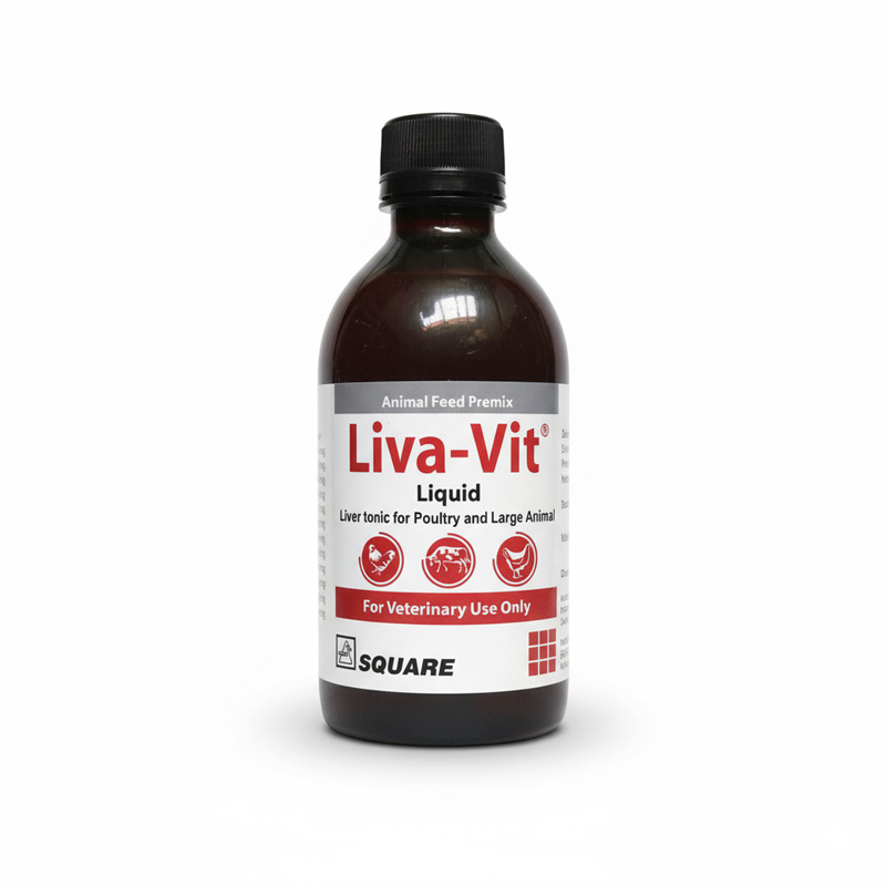 Picture of Liva Vit Liquid 100ML