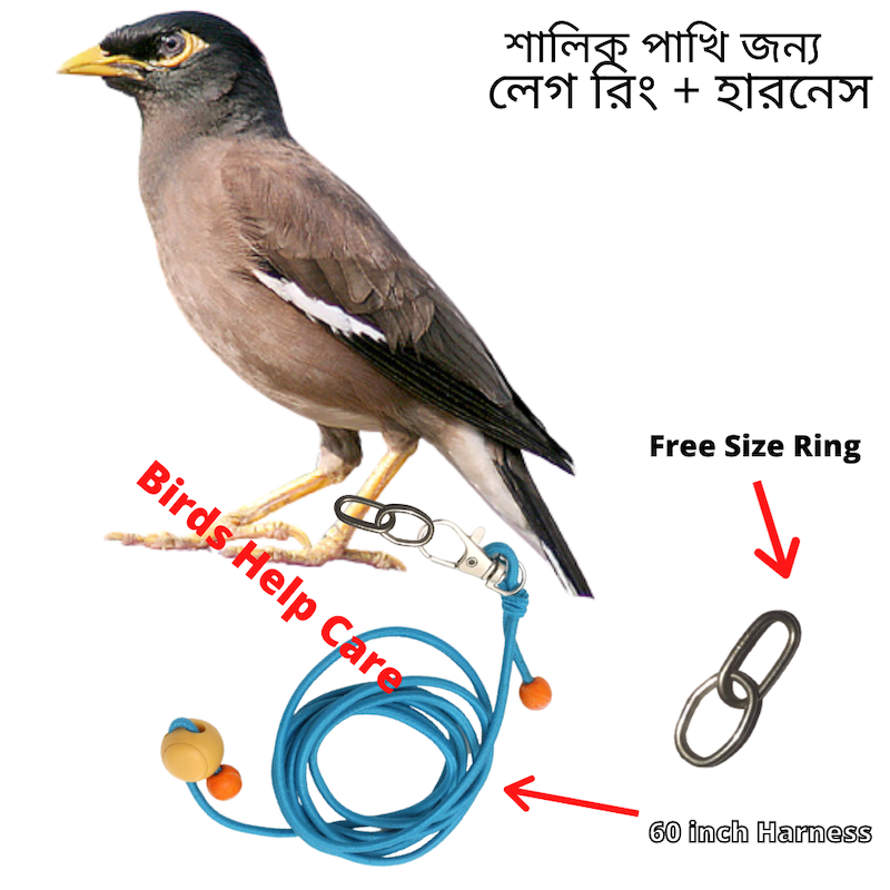 Picture of Shalik Pakhi Leg Ring+Harness 1PCS