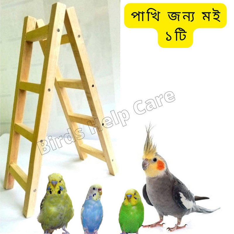 Picture of Premium  1 Feet Long Wooden Bird ladder fun cage toy for bird training  -1PCS