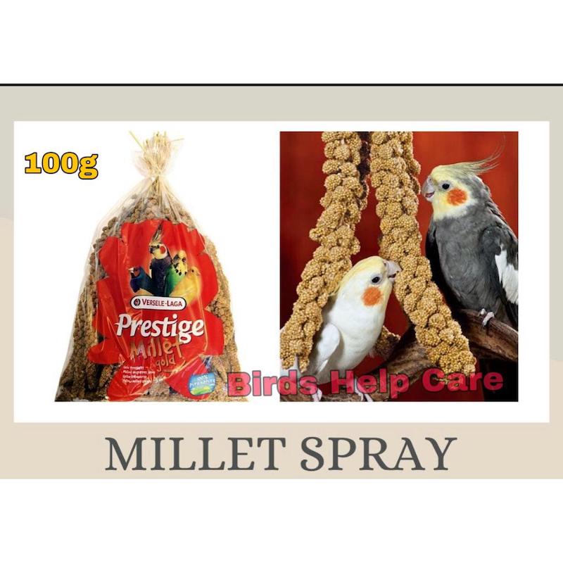 Picture of Red Millet Spray For Bird 100g