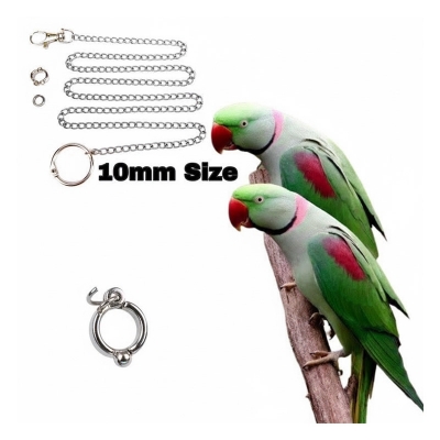 Picture of Steel China Ring +Harness FullSet for Alexander PARROT 10mm Size