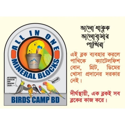 Picture of All In One block -5pcs