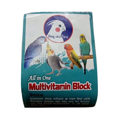 Picture of ALL in One multivitamin Block By Mizu -1 PCS