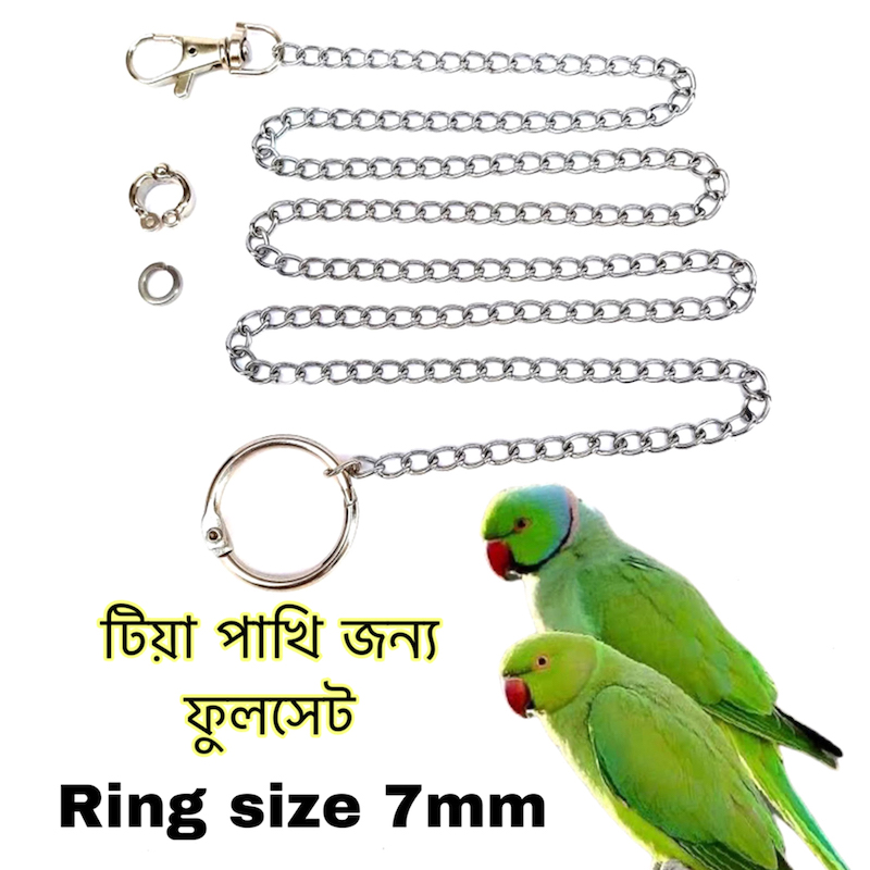 Picture of Metal Foot Chian Harness Leash & anklet Ring fullset combo pack for ringneck or sun conure birds