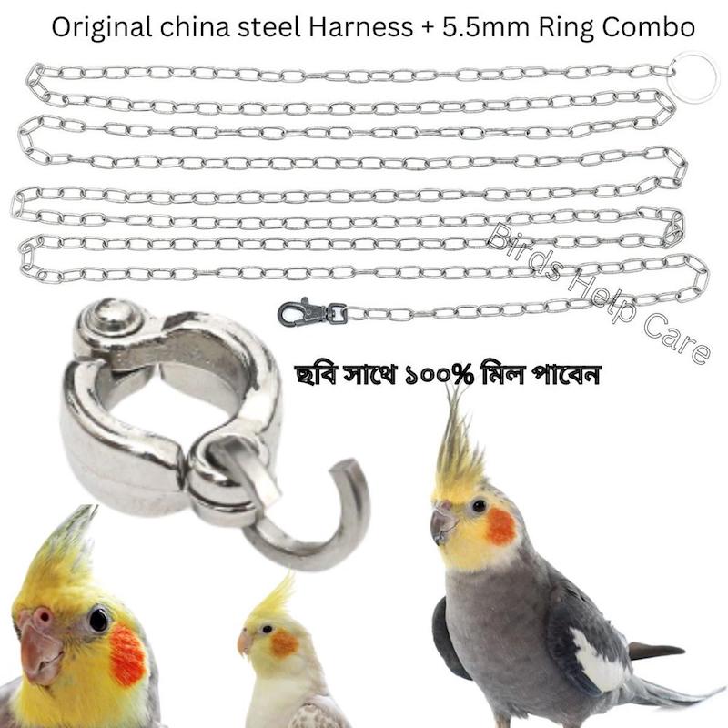 Picture of Cockatiel China Leg Ring + Chain Harness 40 inch+ (full set combo)