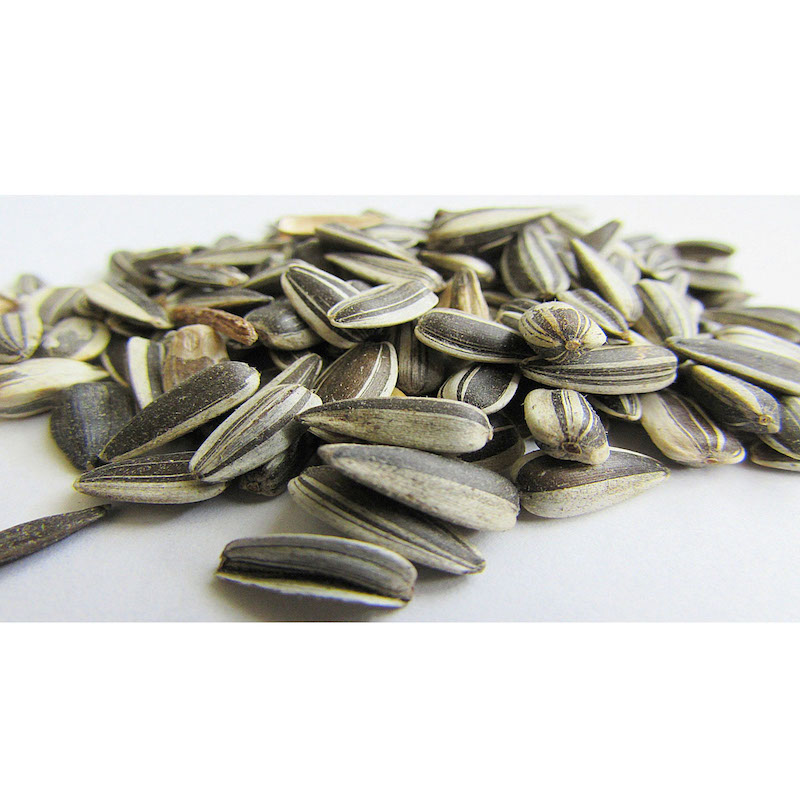 Picture of Sunflower Seeds For Any Bird Food -1kg