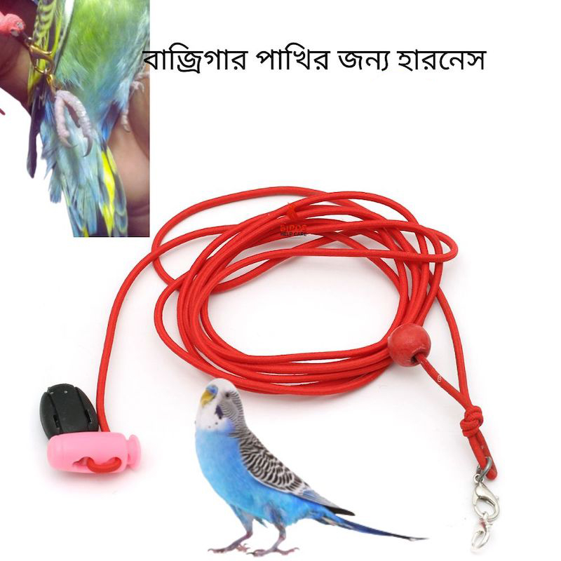 Picture of Birds Leg Chain For Small All Birds Flying